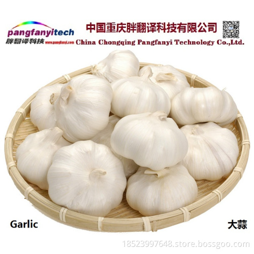 Natural Nutritional Healthy Tasty Self-planted Garlic